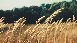 呼死你免费试用在线